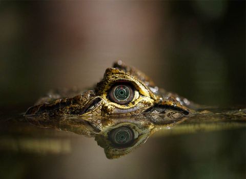 Eyesore #9